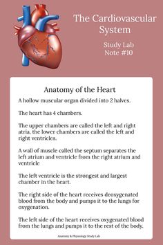 the heart is composed of 3 layers of tissue