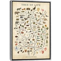 the tree of life is shown on an old paper