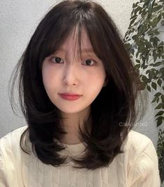 Mid Length Hair With Bangs, Korean Haircut, Hair Growing Tips, Medium Short Hair, Shoulder Length Hair Cuts, Mid Length Hair, Hair Envy, Shoulder Length Hair