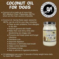 an advertisement with coconut oil for dogs