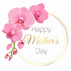 happy mother's day card with pink orchids and gold circle on white background