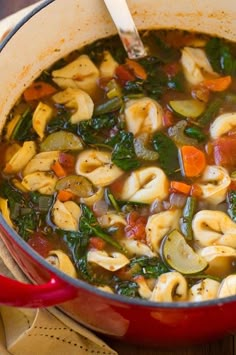 a pot filled with pasta and vegetable soup