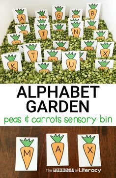 an alphabet garden with peas and carrots