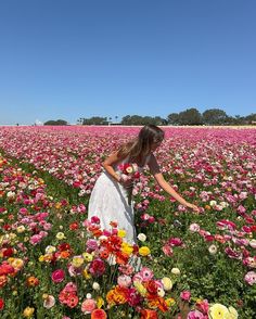 a woman in a field full of flowers reaching for some pink and yellow flowers on the ground