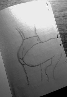 a drawing of a horse on a piece of paper