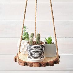 a potted cactus sitting on top of a wooden stand