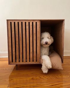 a white dog sitting in a wooden crate on top of a hard wood floor next to a wall