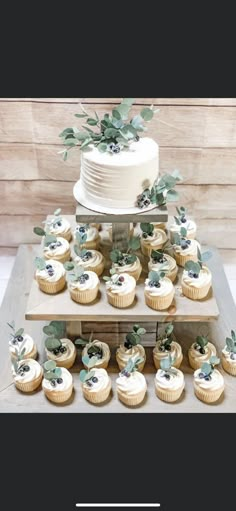 a cake and cupcakes are arranged on a wooden stand with greenery around it