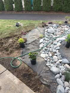 a garden with rocks and plants on the ground next to a fenced in area