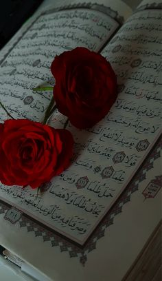 two red roses sitting on top of an open book with arabic writing in the background