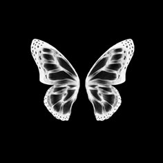 a black and white photo of a butterfly with its wings spread out, on a black background