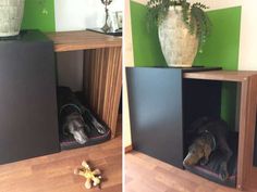 two pictures side by side one with a dog in it's bed and the other has a plant on top