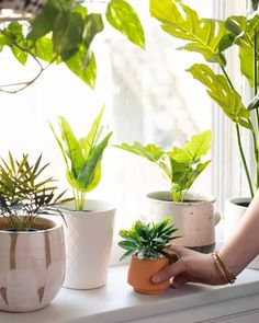 a woman is holding a potted plant on the window sill in front of her