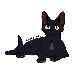 a black cat with yellow eyes sitting down and looking at the camera while wearing a name tag that says raven pet