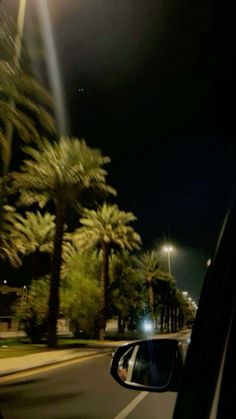 palm trees line the street at night in front of a car with its lights on