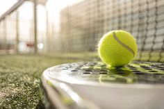 a tennis ball is on top of a racket