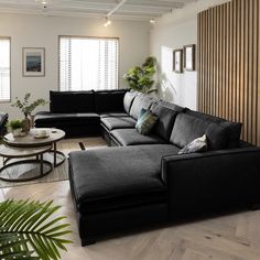 Quatropi Quatropi 6 Seater Modular Corner Sofa - Left L-Shape Chaise, Kyle 446x249cm Black Sofa Living Room, Dark Sofa, Corner Sofa Modern, Corner Bench Dining Set, Black Couches, Modern Sectional Sofa, Modular Corner Sofa, Sideboards Living Room, Corner Sofa Chaise