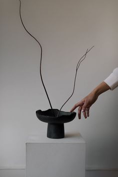 a person touching the top of a black vase with branches sticking out of it's sides