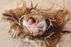 a newborn baby is curled up in a deer's nest with antlers on it