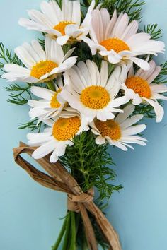 a bouquet of white and yellow flowers on a blue background