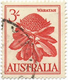 a stamp with an image of a red flower on the front and bottom of it