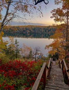 a wooden walkway leading to a lake surrounded by trees and flowers in the fall season