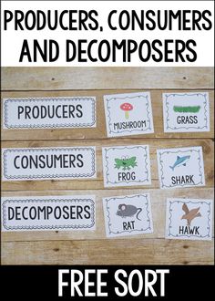 free printable labels for consumers, consumers and decomposers to help kids learn how to use them