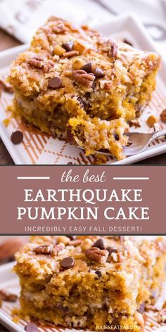 the best pumpkin cake recipe with chocolate chips and pecans on top is an easy dessert to make for fall