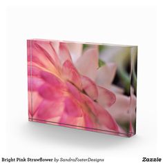 a pink flower is displayed on a glass block with the words bright pink flowers by sandi foster designs