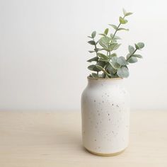 a white vase with some green plants in it