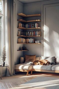 a dog sleeping on a couch in front of a book shelf with bookshelves