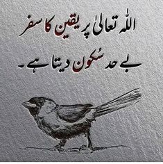 a bird sitting on top of a piece of paper with writing written in arabic and english