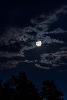 the moon is shining brightly in the night sky above some trees and dark cloudy skies