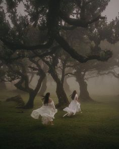 two women in white dresses are walking through the foggy grass with trees behind them