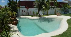 an empty swimming pool surrounded by palm trees and grass in front of a white fence