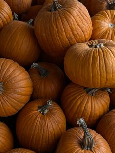 a pile of pumpkins sitting next to each other