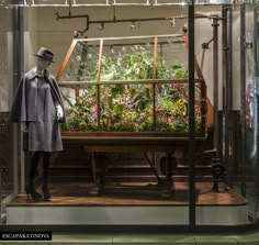 a display case filled with lots of plants in it's glass walls and two mannequins standing next to each other