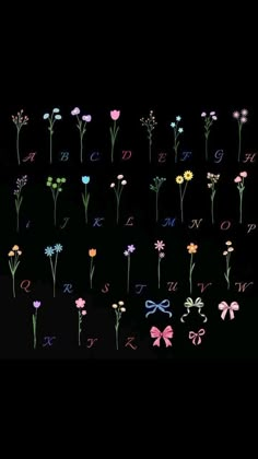 flowers are arranged in the shape of letters and numbers on a black background, including one letter