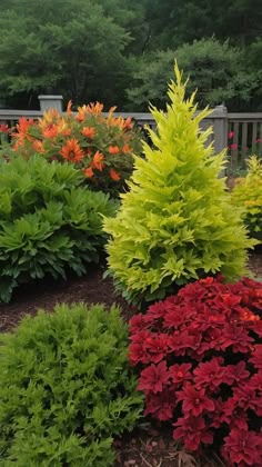 various types of plants and flowers in a garden