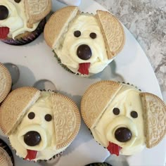 cupcakes with dog faces on them sitting on a plate