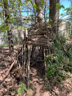 a wooden structure made out of branches in the woods