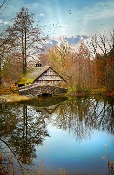 an old wooden bridge over a lake surrounded by trees with birds flying around it in the background