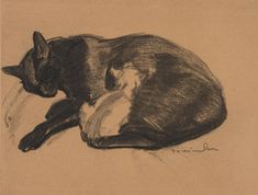 a drawing of a cat laying on the ground