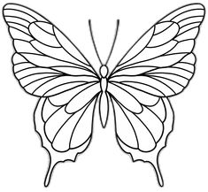 the outline of a butterfly on a white background