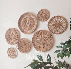 five woven baskets hanging on the wall next to a potted plant in front of it