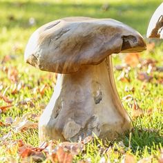 two mushrooms that are sitting in the grass