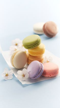 four macaroons are sitting on a piece of paper with white flowers around them