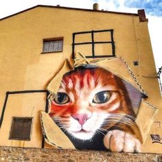 a cat painted on the side of a building with its head peeking out from it's hole