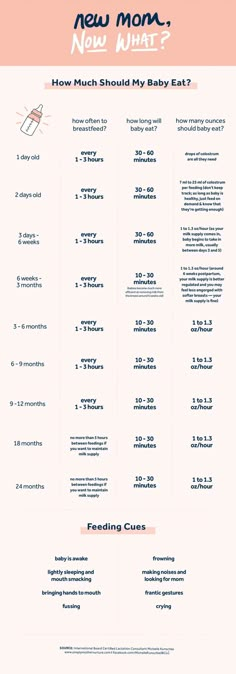 the new mom menu with instructions for how much should you eat?