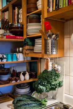 a kitchen sink filled with lots of green vegetables